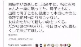 明星母子爆料视频大全集,独家爆料视频全集回顾